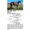 Image 1 : PX Plain Jane