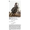 Image 1 : Woody's Wonder
