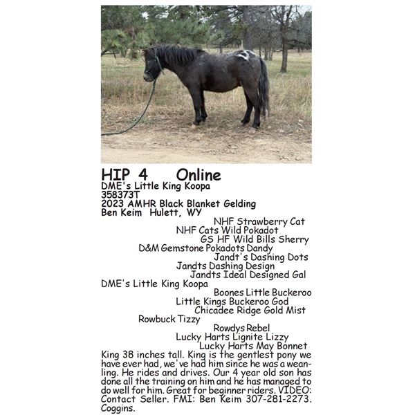 DME's Little King Koopa