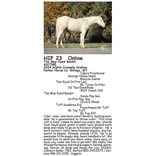 The Blue Eyed Bandit