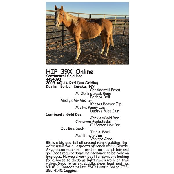 Continental Gold Doc