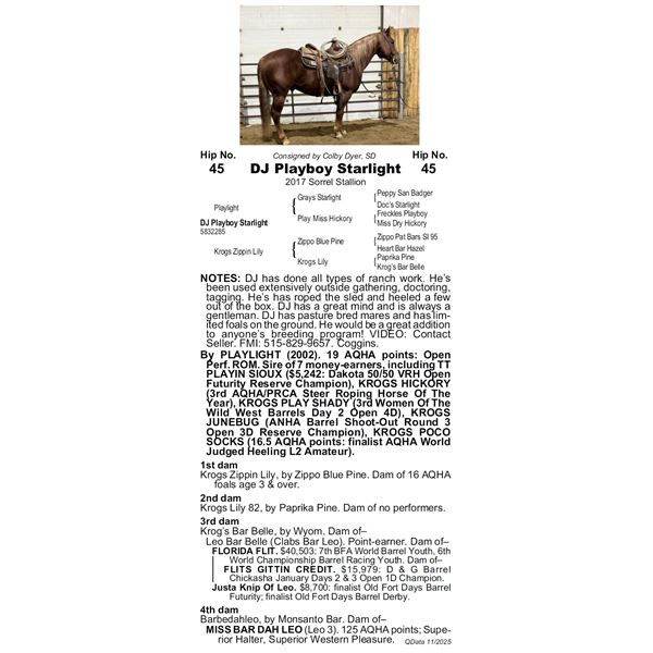 DJ Playboy Starlight