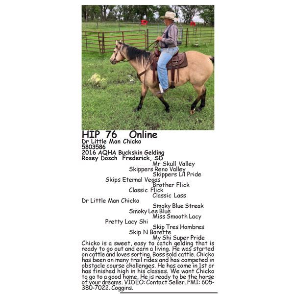 Dr Little Man Chicko