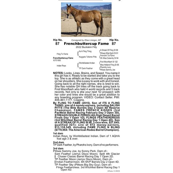 FrenchButtercup Fame