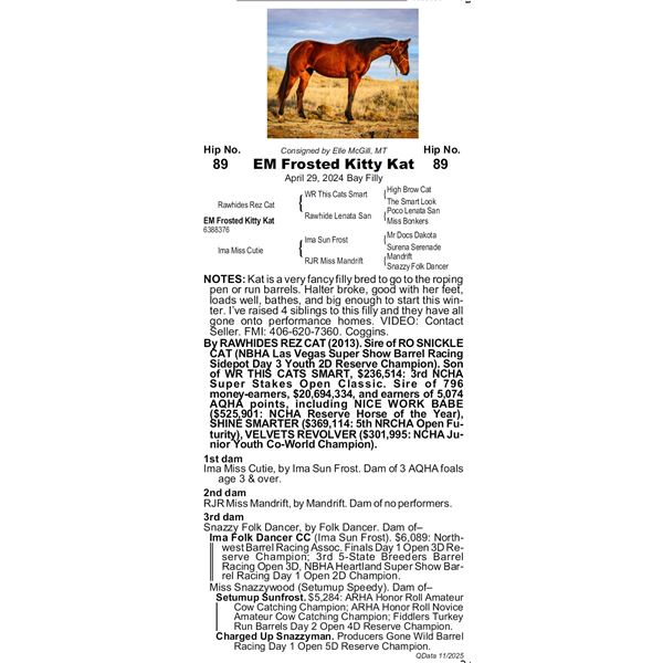 EM Frosted Kitty Kat