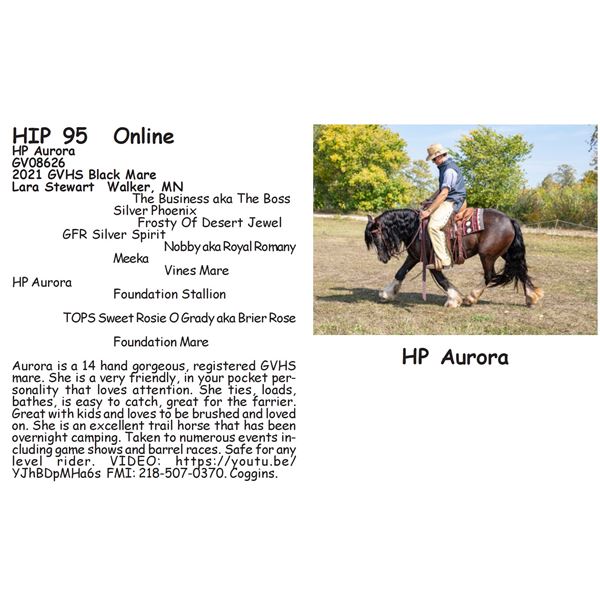 HP Aurora
