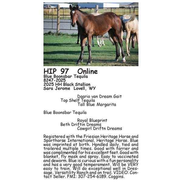 Blue Boonsbar Tequila