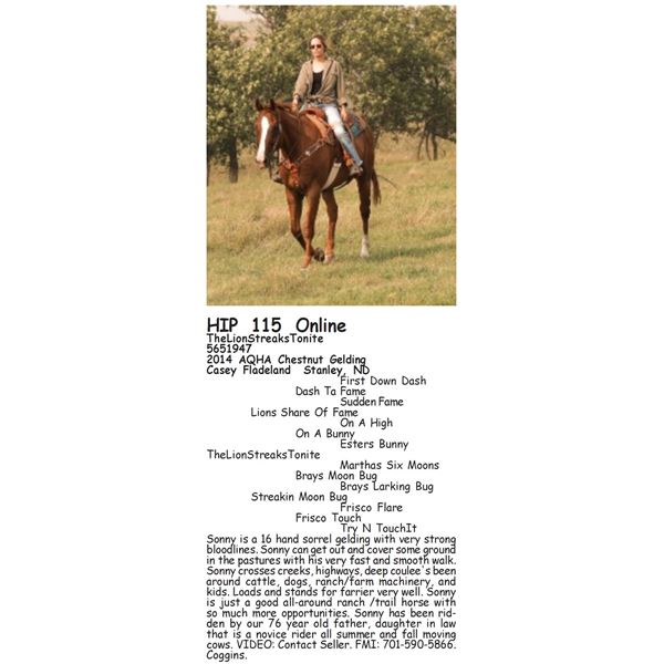 TheLionStreaksTonite