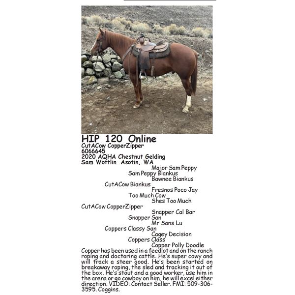 CutACow CopperZipper