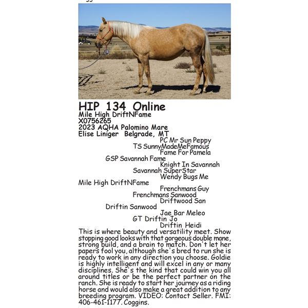 Mile High DriftNFame