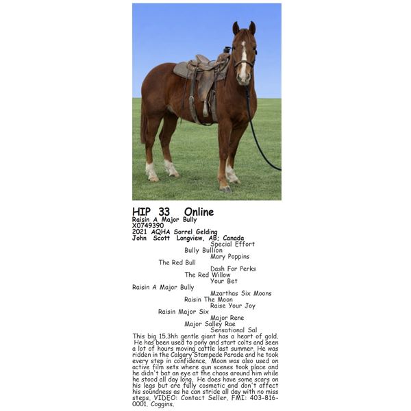 Raisin A Major Bully