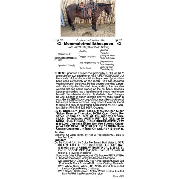 MommaLetMeLikTheSpoon