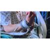 Image 4 : Fear the Walking Dead (2015–2023) - Nick (Frank Dillane) Hospital ID Bracelet and Arm Restr
