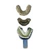 Image 1 : Spider-Man 3 (2007) - Topher Grace (Venom) Prosthetics Teeth Collection