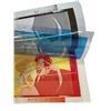 Image 2 : The Rescuers Down Under - 3-Layered Animation Cel - Lot A