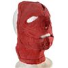 Image 2 : House of the Dead (2003) - Set Of 2 Zombie Appliances