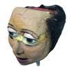 Image 2 : Team America: World Police (2004) - Janeane Garofalo Puppet Head Latex Skin