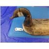 Image 2 : Very old decoy of a Canada goose, thought to have come from Nova Scotia, condition comparable to its