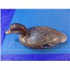 Image 1 : Decoy of what appears to be a female Mallard duck by unknown carver --  CONSIGN # D2