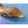 Image 3 : Decoy of what appears to be a female Mallard duck by unknown carver --  CONSIGN # D2