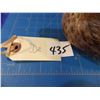 Image 9 : Decoy of what appears to be a female Mallard duck by unknown carver --  CONSIGN # D2