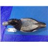 Image 1 : Decoy of a  scaup by well-known Wolfe's Island Ontario carver Tom Martindale --  CONSIGN # D4