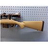 Image 12 : Ruger American, .Caliber 223/5.56 Nato, bolt action, with DOA 600 scope. Serial 690554374