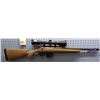 Image 1 : Ruger American, .Caliber 223/5.56 Nato, bolt action, with DOA 600 scope. Serial 690554374