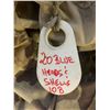 Image 1 : Goose Decoy Shells Quantity of 20 Blue Heads & Shells ...CONSIGNOR TAGGED 10B