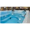 Image 3 : TIDAL FIT PRO-EP 15 ARTESIAN POOL. 15'X8'X60", 7855 LITERS. QUAD SWIM JET SYSTEM, FULL FOAM W/ABS
