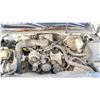 Image 11 : 2007 GMC SIERRA 2DR PU, WHITE, VIN 3GTEC14X06G264771