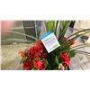 Image 2 : VERONNEAU 53" REALISTIC ARTIFICIAL PLANT