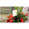 Image 3 : VERONNEAU 53" REALISTIC ARTIFICIAL PLANT