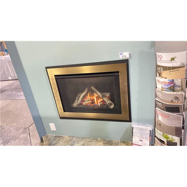 VALOR MODEL H3 SERIES AS SHOWN WITH BIRCH LOG SET, PLAIN BLACK LINER, BRUSHED CHAMPAGNE FOUR-SIDED