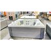 Image 4 : HOTSPRING PORTABLE SPA ARIA HOT TUB. ALPINE WHITE/CHARCOAL CABINET. FRESHWATER IQ WATER CARE AND