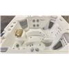 Image 5 : HOTSPRING PORTABLE SPA ARIA HOT TUB. ALPINE WHITE/CHARCOAL CABINET. FRESHWATER IQ WATER CARE AND