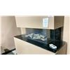 Image 3 : REGENCY CITY SERIES SAN FRANCISCO BAY 40" BUILT IN NATURAL GAS FIREPLACE. INC BLACK GLASS INNER