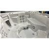 Image 3 : HOTSPRING PORTABLE SPAS HOT TUB. VANGUARD IN ICE GRAY/BRUSHED NICKEL CABINET. FRESHWATER IQ WATER