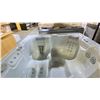 Image 2 : HOTSPRING PORTABLE SPAS HOT TUB. SOVEREIGN IN ICE GREY ACRYLIC/BLACKWOOD CABINET. INC FRESHWATER IQ