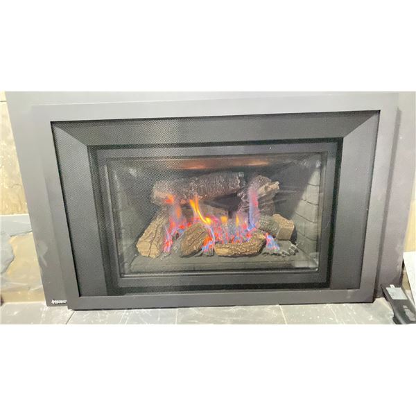 REGENCY LIBERTY LR14E GAS INSERT.