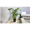 Image 2 : 6' FERN/PALM ARTIFICIAL PLANT