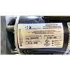 Image 3 : WATERWAY VIPER 56-FRAME PUMP INSULATED 4 HP POOL OR SPA PUMP. MODEL PV-30-1N22M