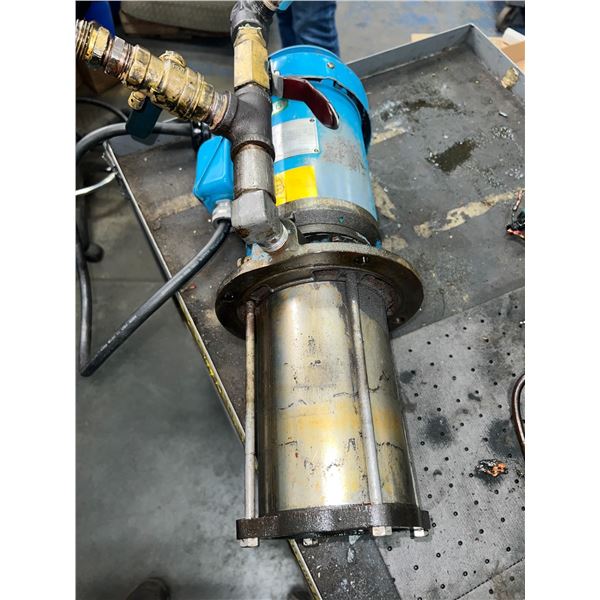 Teral #LHW205A1.1M Pump