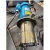 Image 2 : Teral #LHW205A1.1M Pump