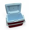 Image 2 : Rubbermaid Portable Cooler, 12" x 8' x 10"