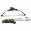 Image 1 : Browning Bantam Compound Bow With Quiver And 4 Arrows