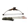 Image 2 : Browning Bantam Compound Bow With Quiver And 4 Arrows