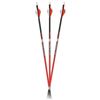 Image 1 : Carbon Express Maxima Red SD 6 Pack, New