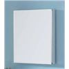 Image 1 : Ove Decors Anton Medicine Cabinet with Mirrored Door