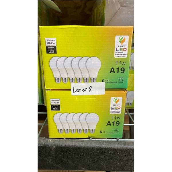 Lot of 2 LED Light Bulb 6 Pack A19 11W 1100 Lumens Daylight
